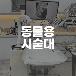 안전한 치료 과정