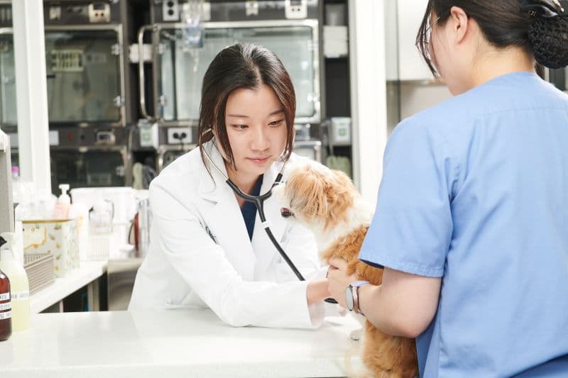 소화기 내과