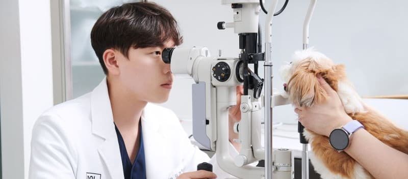 안과 진료 1