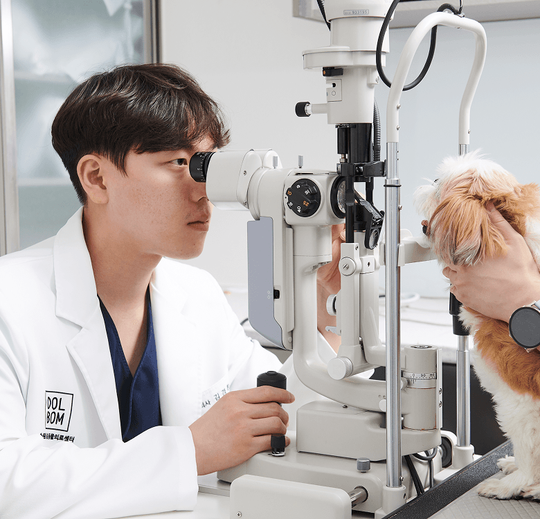 돌봄동물의료센터 진료 케어 2