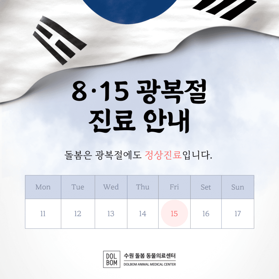 8월 진료 일정 관련 이미지 3