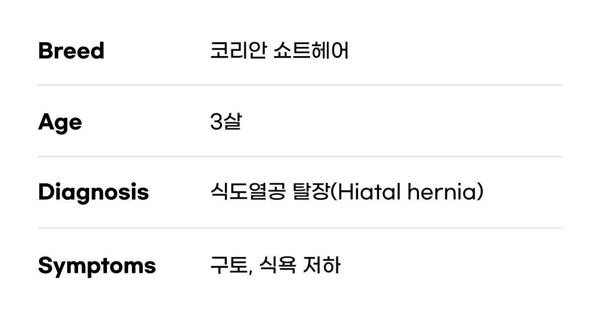 고양이 식도열공 탈장 수술 케이스 관련 이미지 4