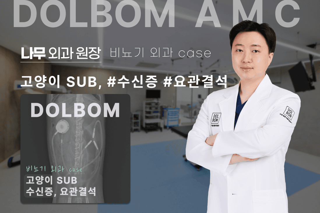 고양이 SUB(인공요관우회술) 수술 케이스 관련 이미지 1
