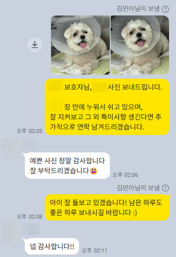강아지 백내장, 꼭 알아두어야 할 포인트 관련 이미지 6