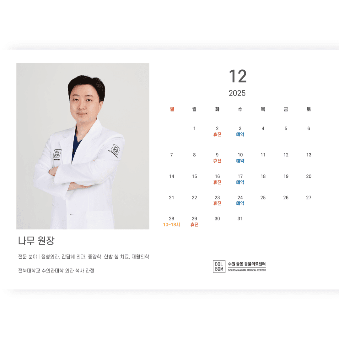 12월 진료일정 관련 이미지 3