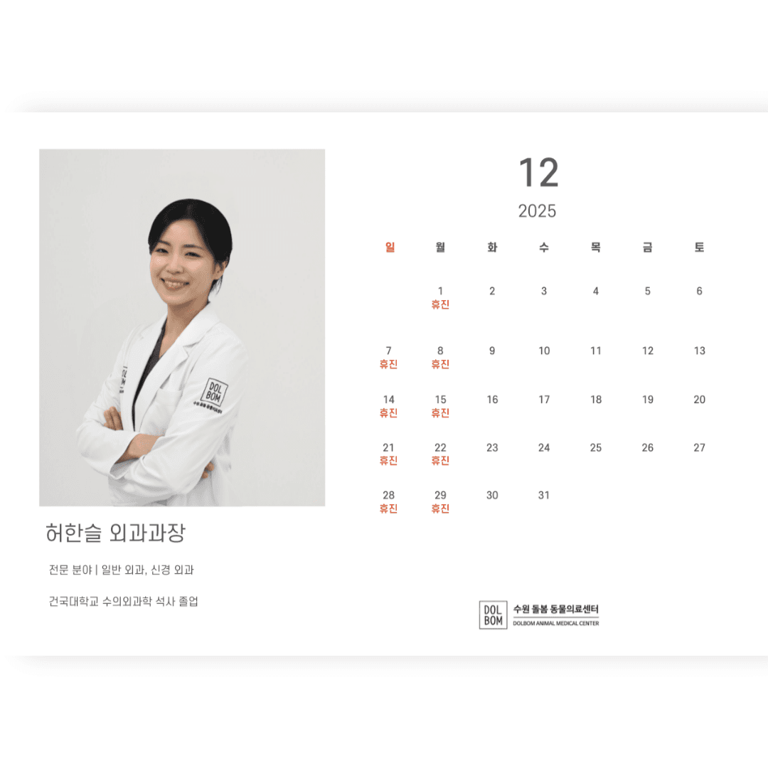 12월 진료일정 관련 이미지 6