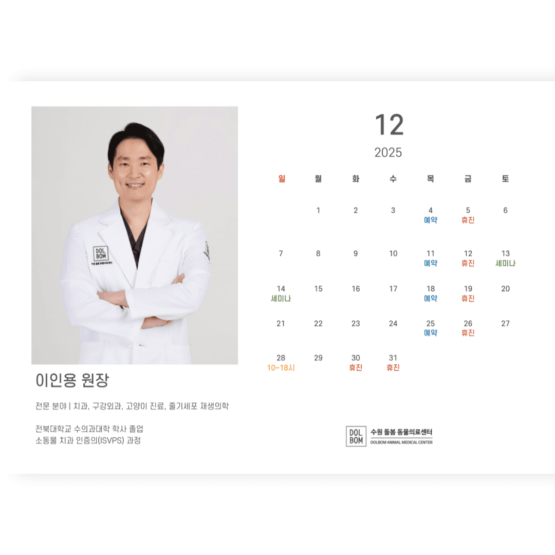12월 진료일정 관련 이미지 4
