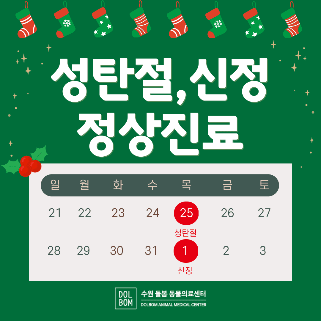 12월 진료일정 관련 이미지 1