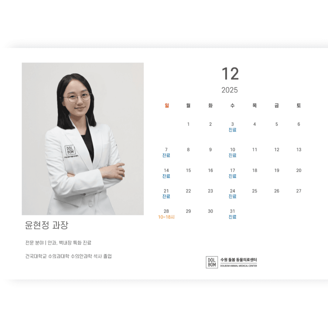 12월 진료일정 관련 이미지 8
