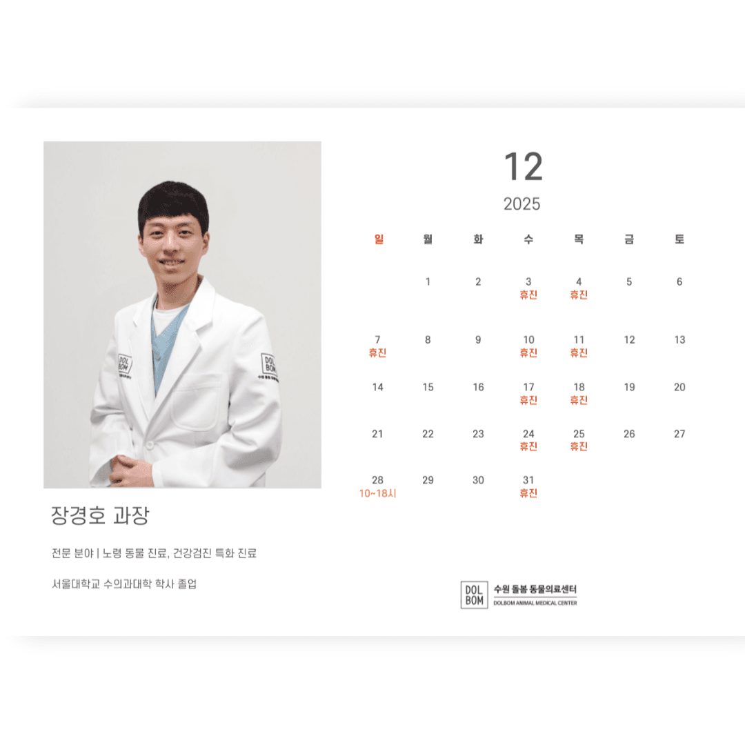 12월 진료일정 관련 이미지 5