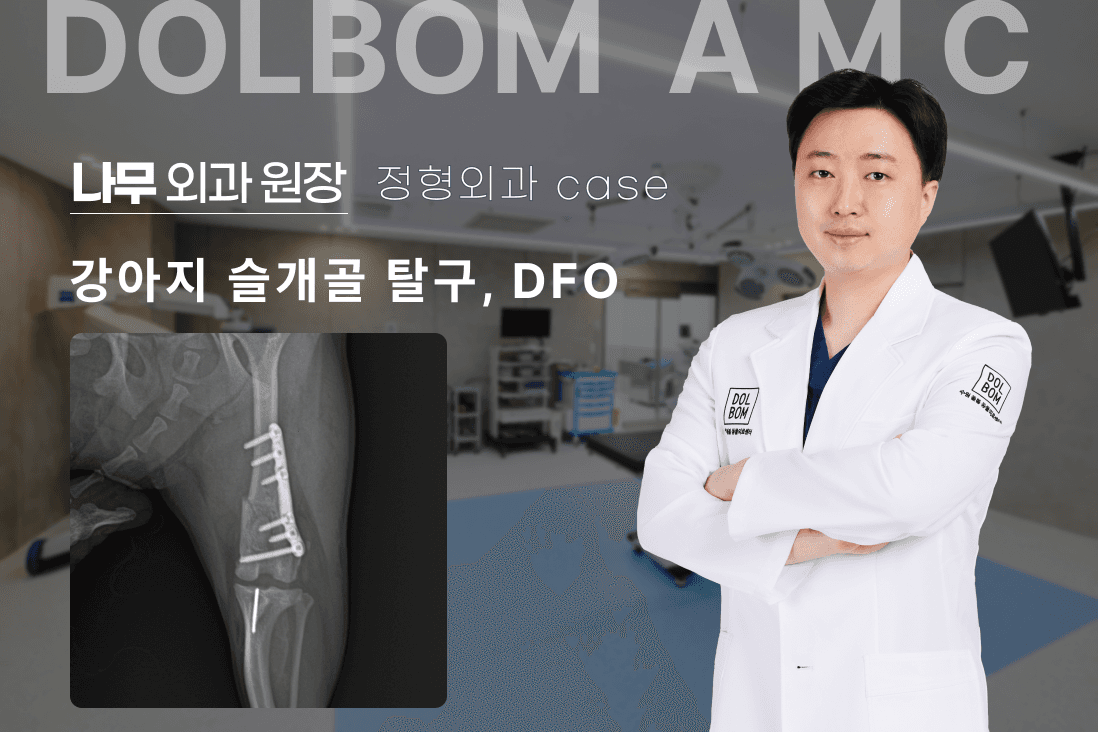 강아지 슬개골 탈구 DFO 교정 수술 관련 이미지 1