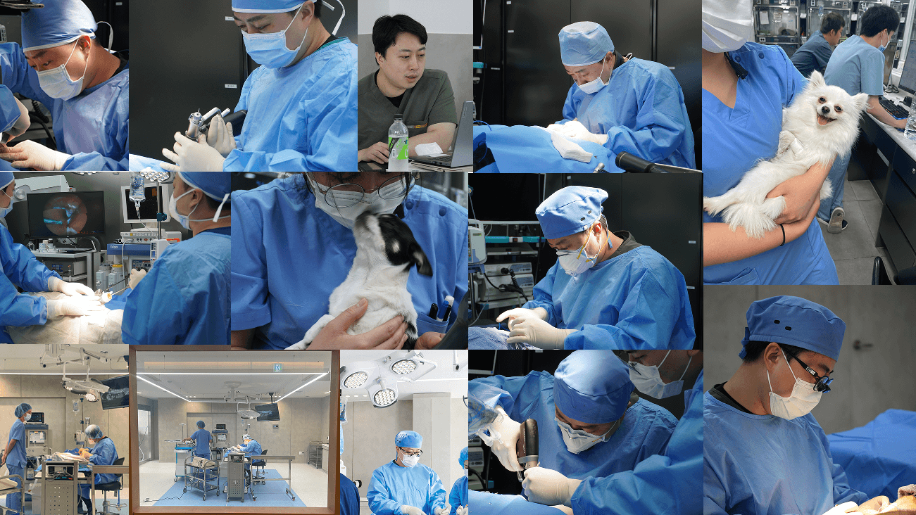 돌봄 외과 원장, 집도 수술 케이스 10,000례 달성 관련 이미지 2