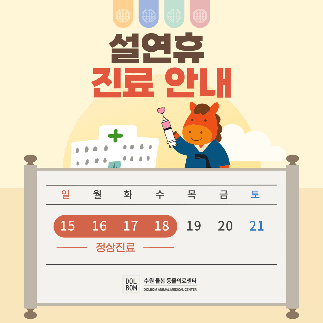 2월 진료일정 관련 이미지 1