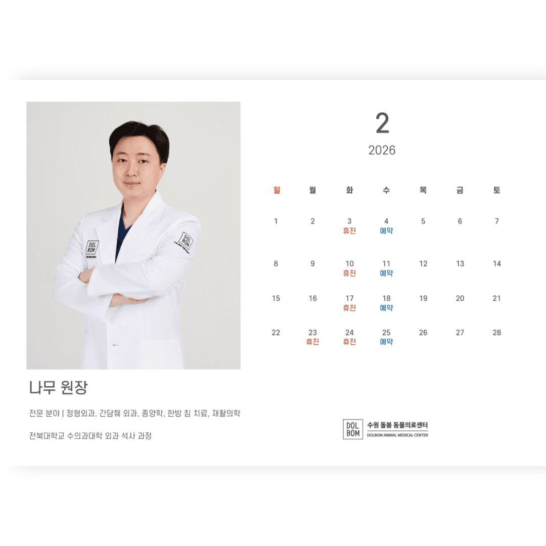 2월 진료일정 관련 이미지 2