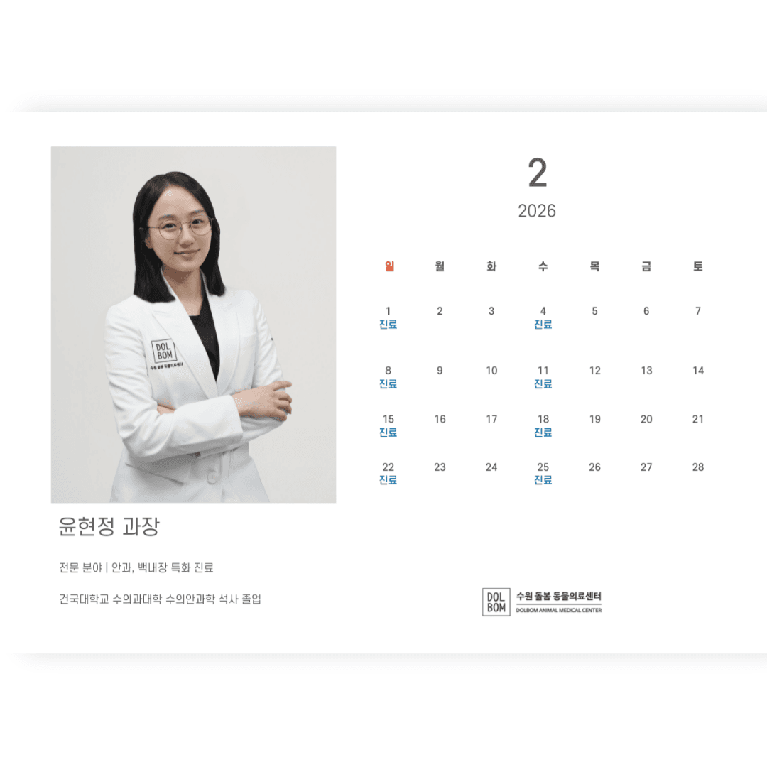2월 진료일정 관련 이미지 8