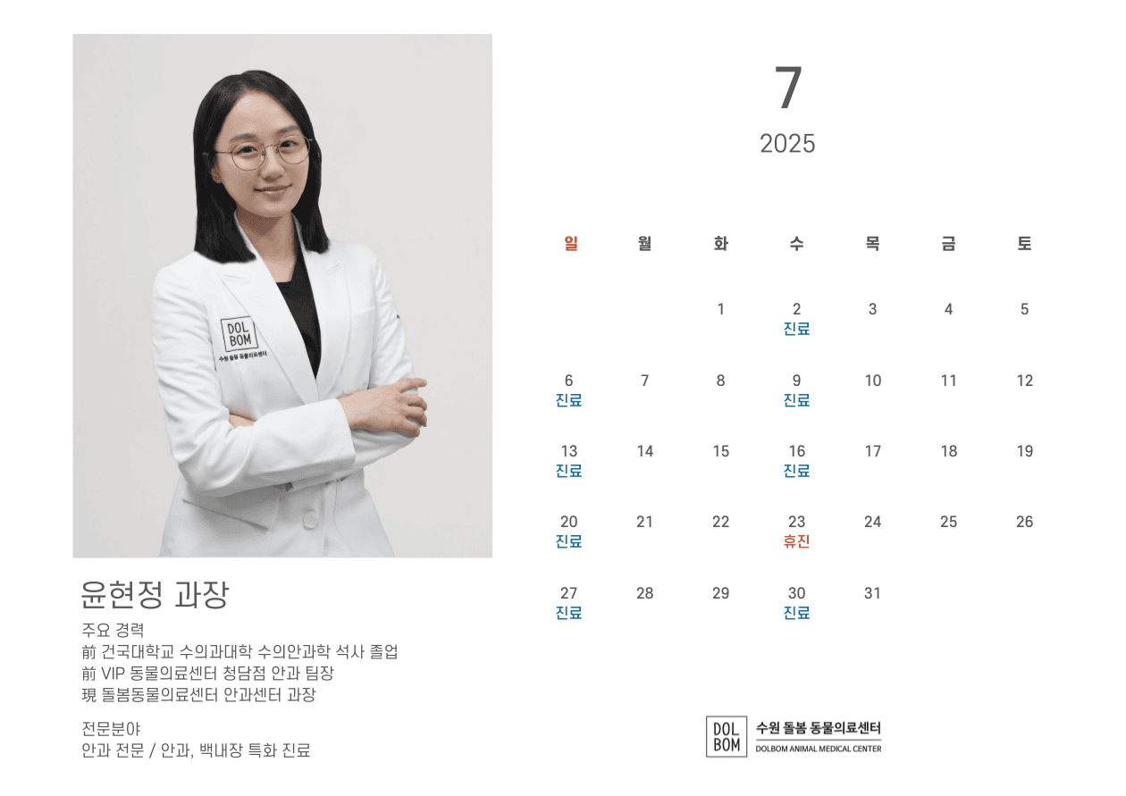 돌봄동물병원 7월 수의사 진료일정 관련 이미지 7