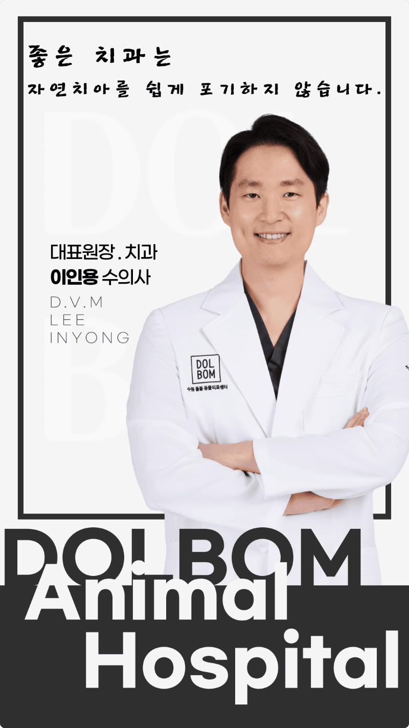 돌봄동물병원 7월 수의사 진료일정 관련 이미지 10