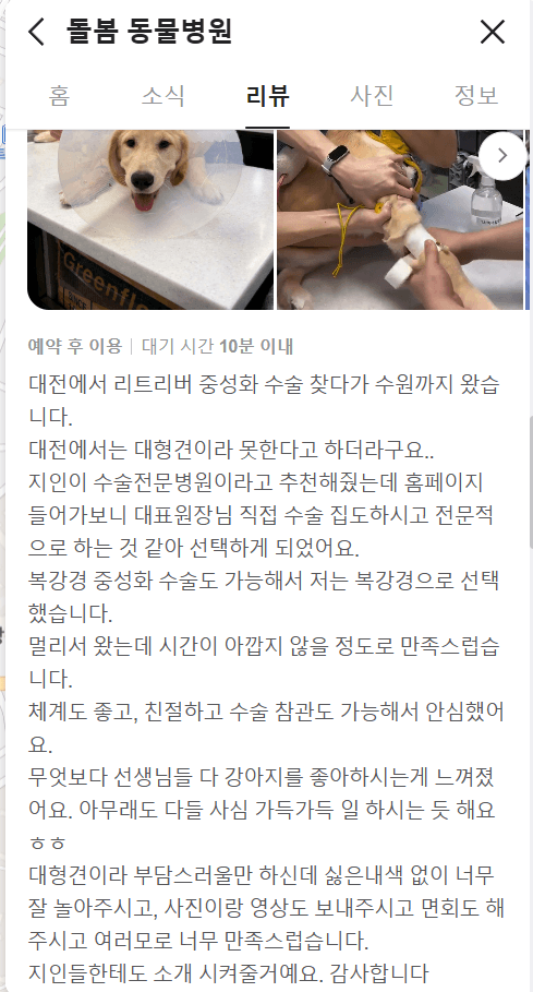 강아지 복강경 중성화 수술 관련 이미지 8