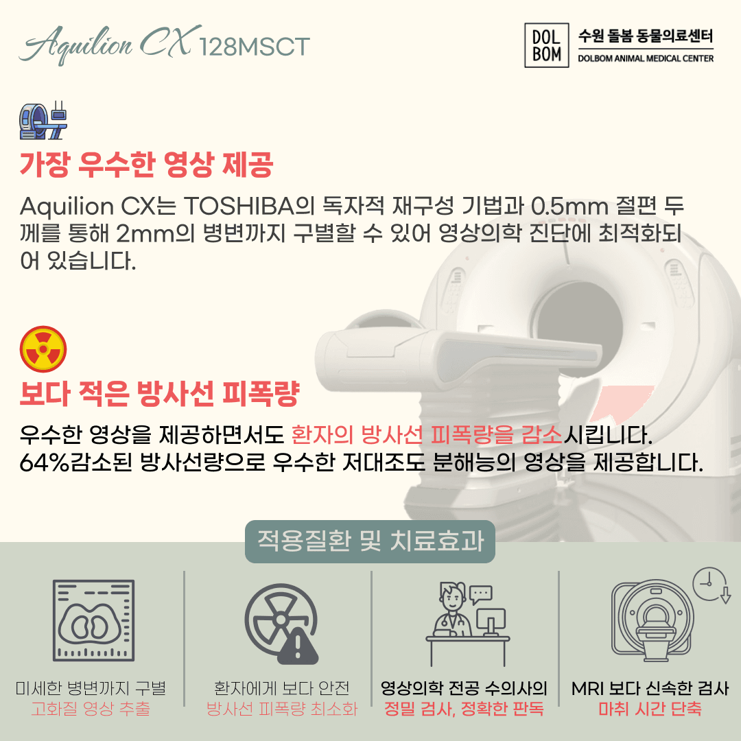 강아지 유선종양 수술 관련 이미지 5