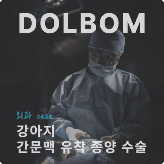강아지 유선종양 수술 관련 이미지 11