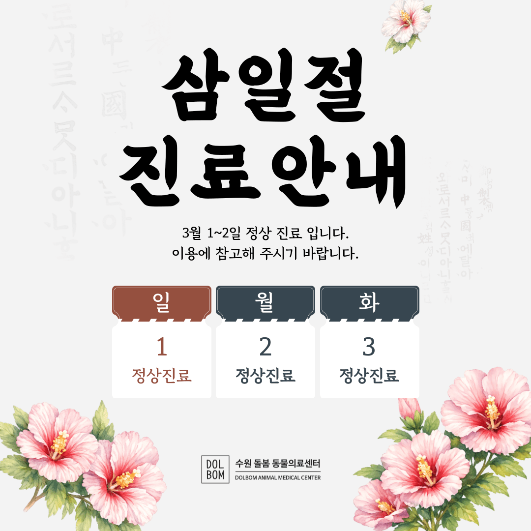 3월 진료일정 관련 이미지 1