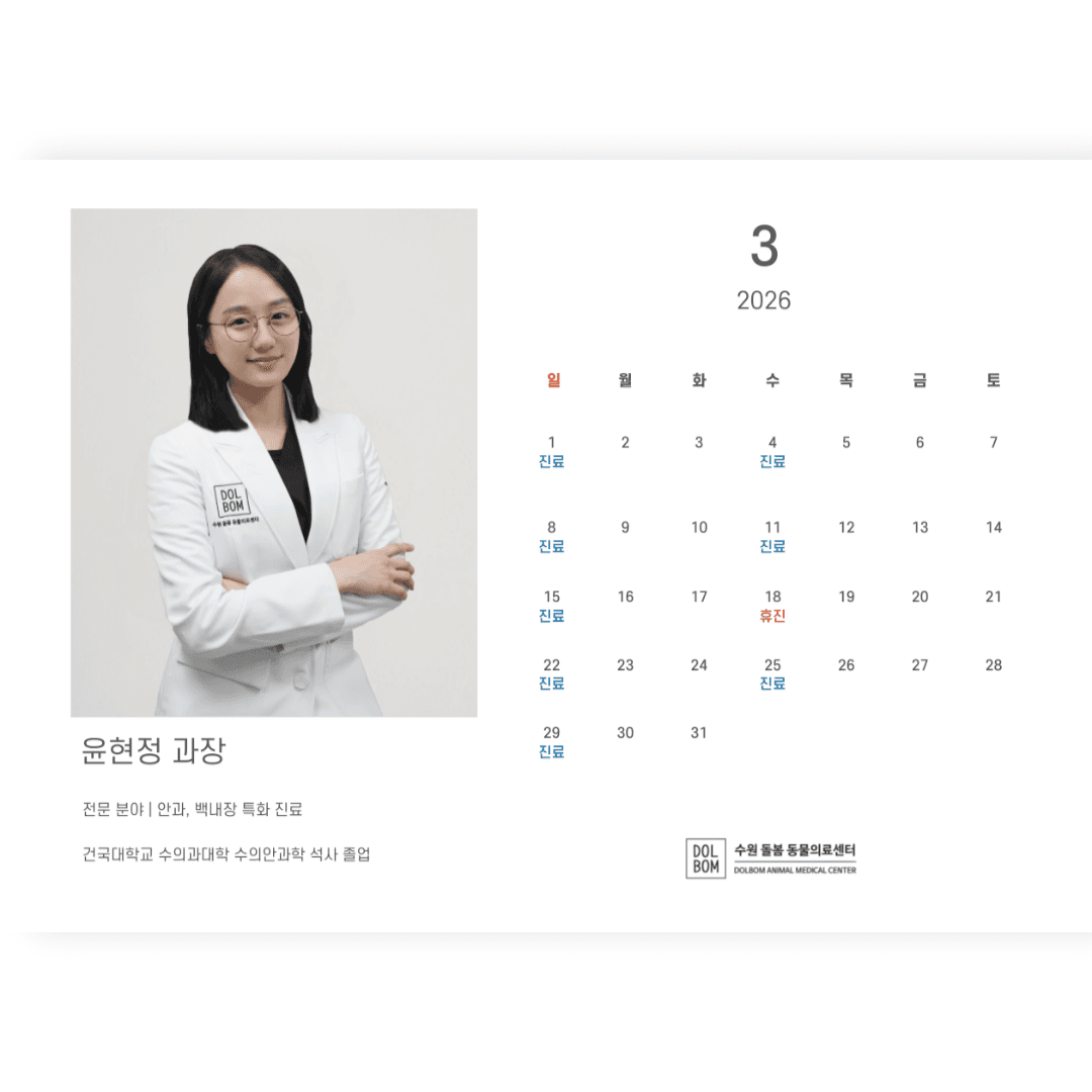3월 진료일정 관련 이미지 8