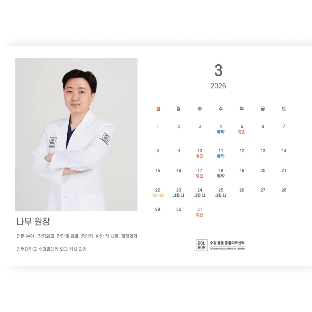 3월 진료일정 관련 이미지 2