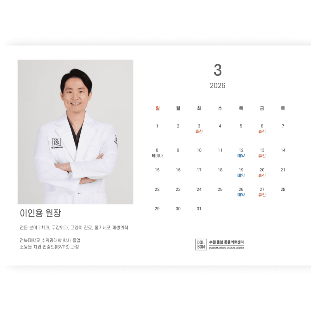 3월 진료일정 관련 이미지 3