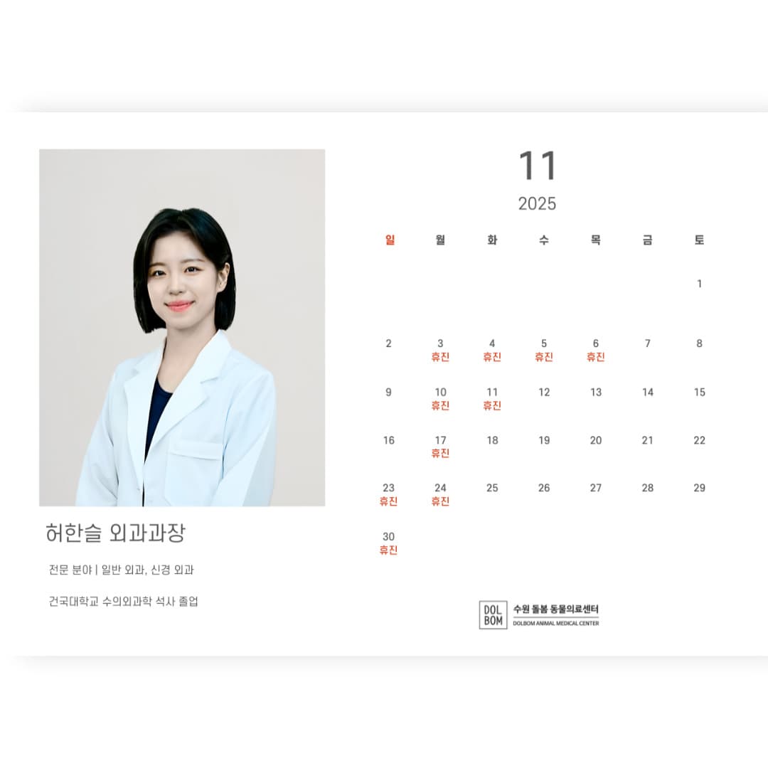 11월 진료일정 관련 이미지 4