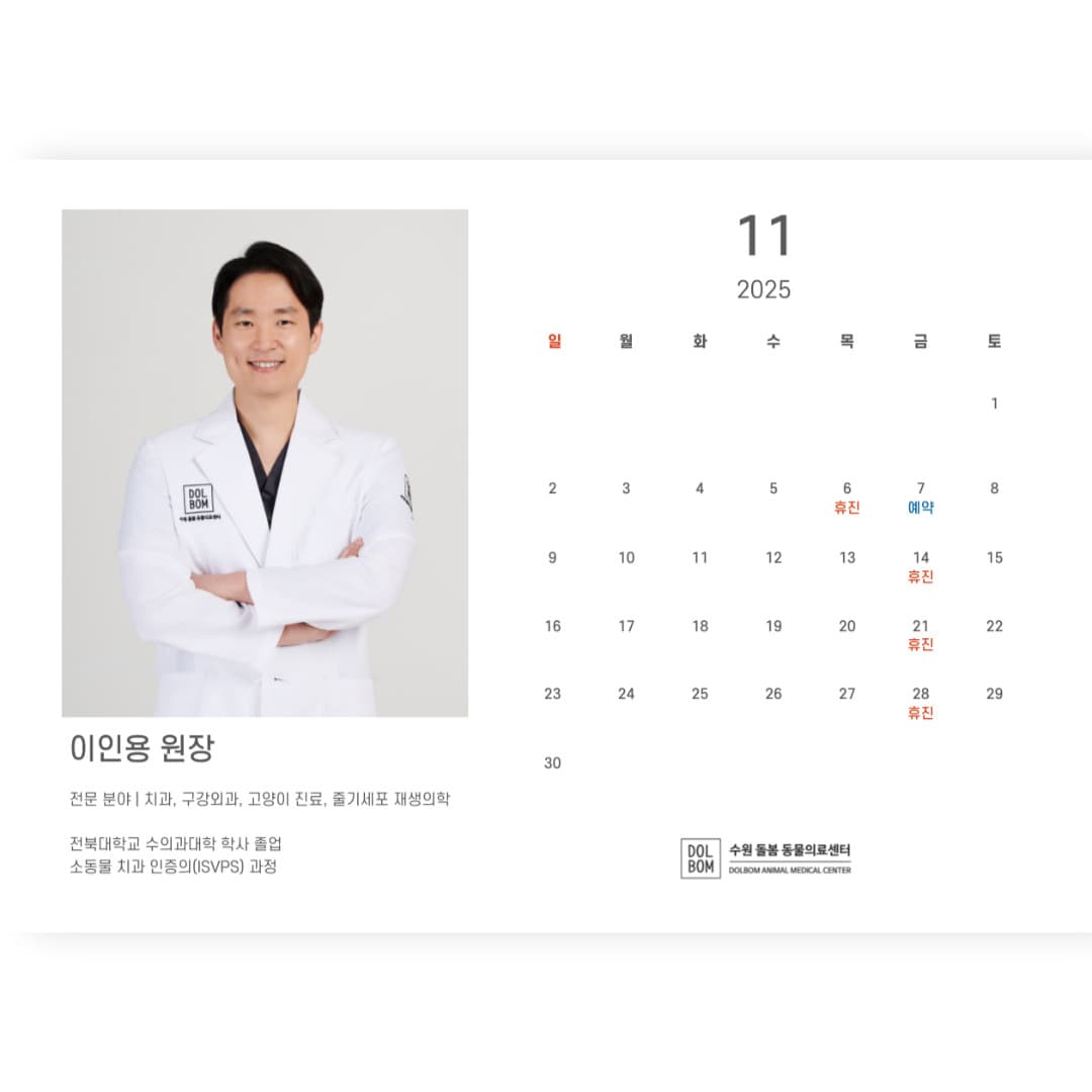 11월 진료일정 관련 이미지 2