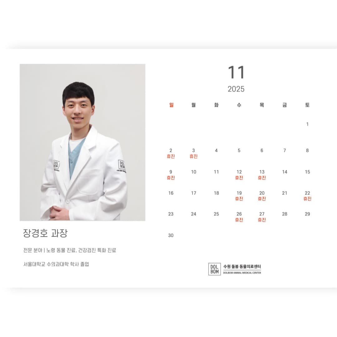 11월 진료일정 관련 이미지 3
